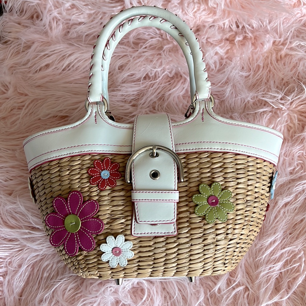 Flower Bucket Straw Bag By Coach